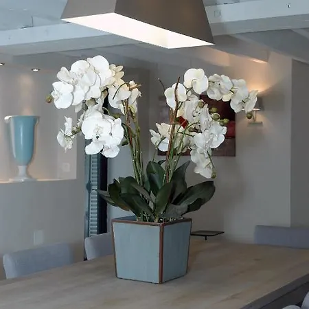 Casa vacanze De L'orangerie Craon (Mayenne)